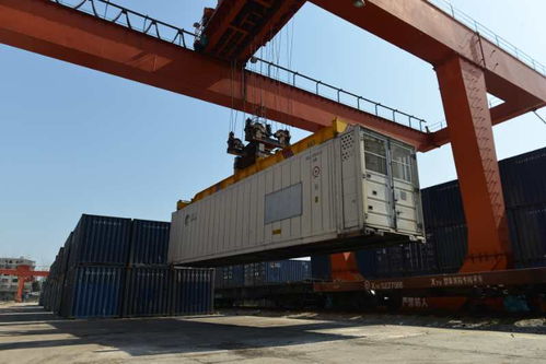 云南愛心專列今日抵到咸寧 22個集裝箱滿載280噸綠色農產品